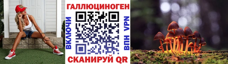 Купить  Энгельс  Галлюциногенные грибы MAGIC MUSHROOMS 